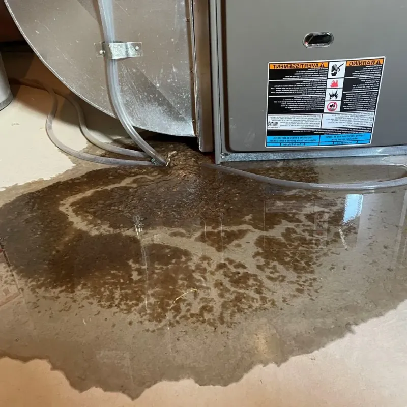 Pipe Burst and Leak Restoration in Lenape Heights, PA